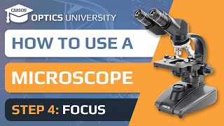 How to Use a Microscope | Step 4 Focus | Optics University