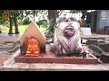 Wadeshwar Temple, Ambhai Sillod | Savani Heritage Conservation |