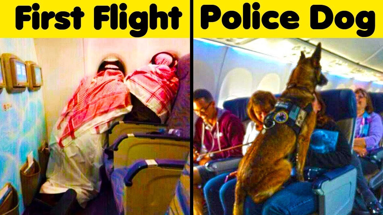 People Who Have Been On The Most Interesting Flights (PART 2!)