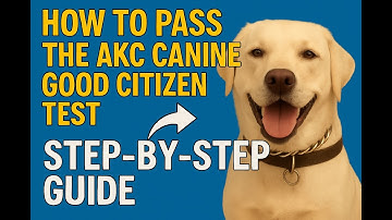 How to Pass the AKC Canine Good Citizen Test: Step-by-Step Guide!