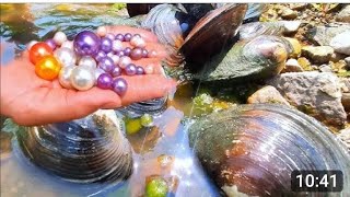 Wow ,Mericle Has Hoppend Pearl Clam