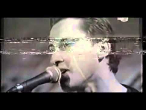 ამინისტია - ნარკომანი