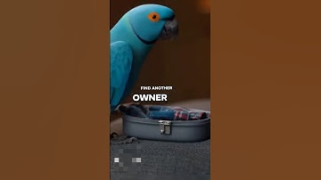 Parrot owner lost his Job! #talkingparot #funny #games #brainteasers #shortclips #shorts #ai
