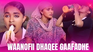 Download Lagu 🌹SEENAA FI WAANOFIIN MANA YAALATTI WAL LOLAN....! MP3 Download Lagu 🌹SEENAA FI WAANOFIIN MANA YAALATTI WAL LOLAN....! MP3