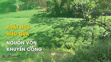 Phát huy hiệu quả nguồn vốn khuyến công | Thái Nguyên TV