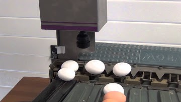 Nuovo Egg Stamper - Easy Stamp SOR1 on Mobanette