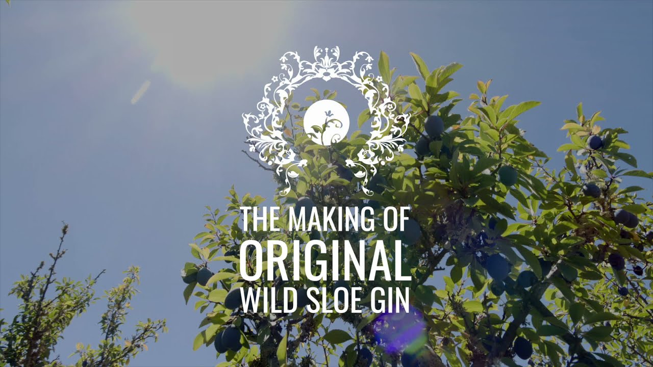 The making of our Wild Sloe Gin YouTube