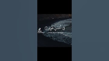 والتين والزيتون وطور سينين حالات واتس اب تلاوة خاشعة القارئ ماهرالمعيقلي القران الكريم راحة نفسية😴💙