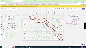 Global and Local Alignment | Bioinformatics | Bangla
