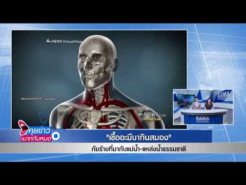 อะมีบากินสมอง ภัยร้ายที่มากับแหล่งน้ำธรรมชาติ : พบหมอรามา ช่วง คุยข่าวเมาท์กับหมอ 2 พ.ย.61(3/6)