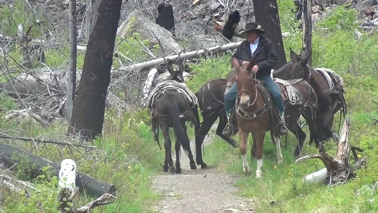 jake clark mule days 219