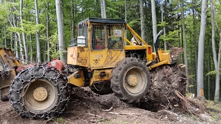 LKT 81 Turbo - Ťažba smrekov do kopca. Vývraty vedľa cesty a stihl ms 500i. Dokončujeme porast.