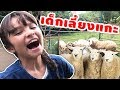 บรีแอนน่า | 🐑 นิทานเด็กเลี้ยงแกะ 2018 สุดฮา ละครสั้นหรรษาบรีแอนน่าและฝูงแกะใหญ่ที่ฟาร์มแกะดำ หัวหิน