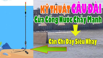👉Cách Cân Chì Đáy Siêu Nhạy Và Cực Kỳ Hiệu Quả 🐠 Kỹ Thuật Câu Đài Cửa Cống, Cửa Sông Nước Chảy Mạnh