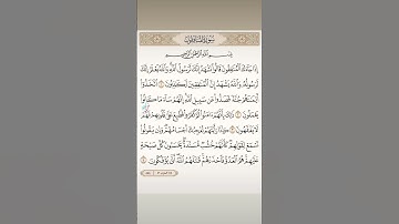 سورة المنافقون