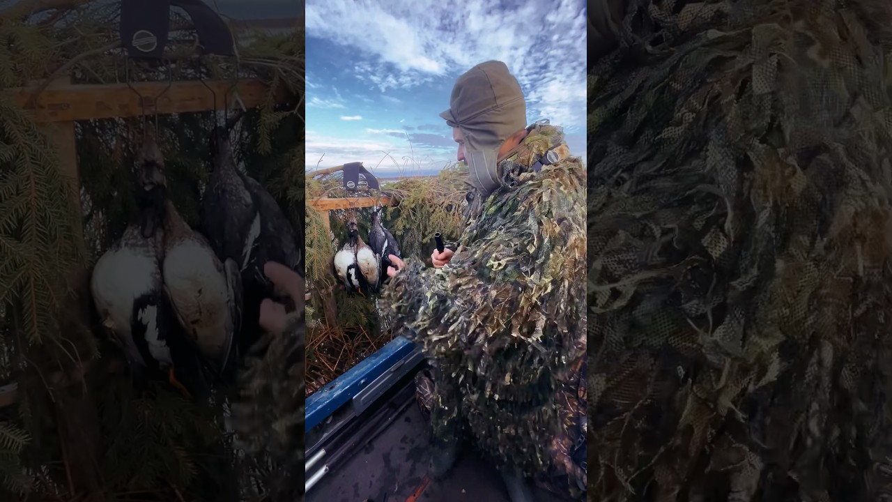 Осенняя охота на утку! 