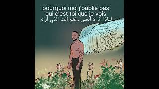 أغنية مترجمة ، toi. slimane ..c'est toi que je vois
