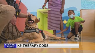 K9 dogs provide therapy for kids at La Rabida