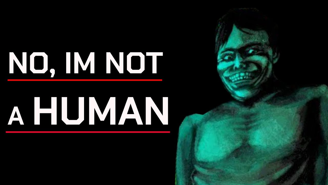 Die STORY von NO I'M NOT A HUMAN erklärt