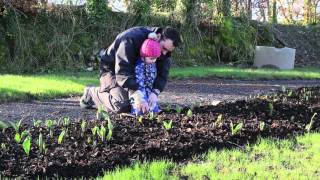 Rathdangan A Village With Vision