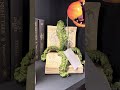 Raz 13" Venus Fly Trap in Book Halloween Decoration 4657645