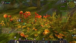 Princess Must Die!  - WOW Quest  | Wow Classic