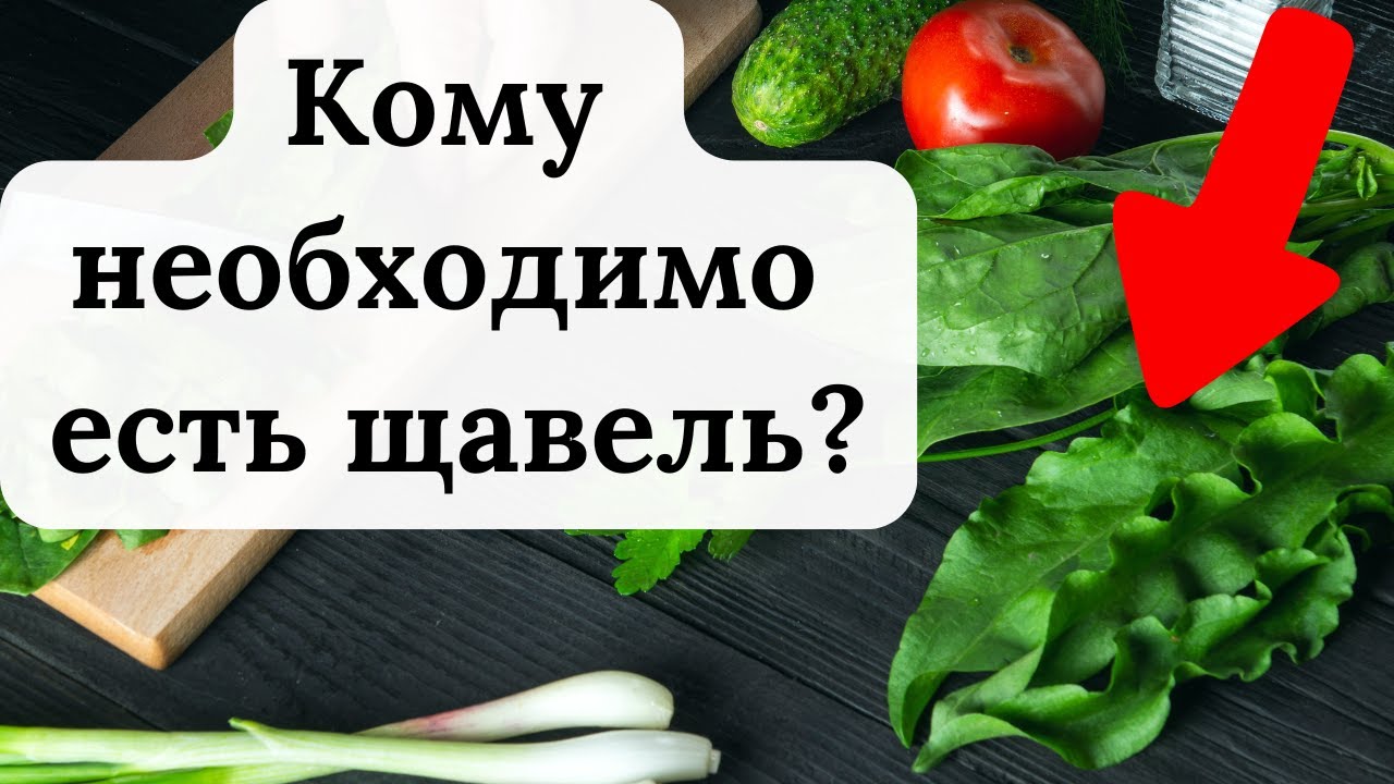 Настоящий источник витаминов и микроэлементов: кому полезно есть щавель