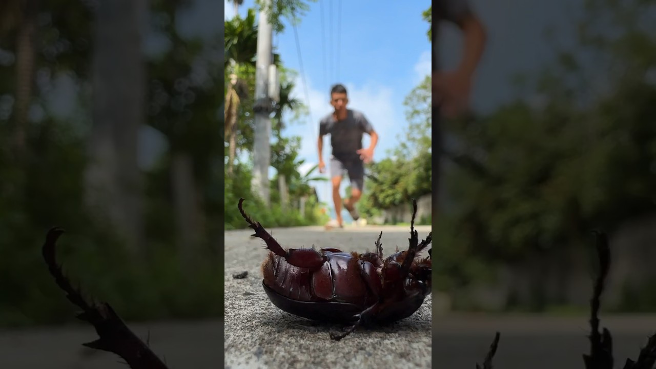 Eye Candy And I Share It With Them 