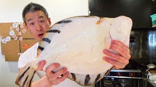 가자미의 왕이라 불린다는 최고급생선 마츠카와 가레이 How to Fillet Giant  Flounder into 5 pieces|Flounder Sushi and Sashimi