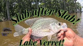 Slab after Slab!! 