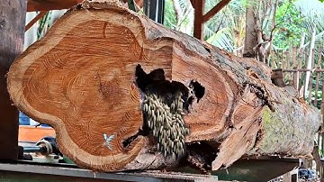 a dangerous unexpected surprise while sawing an old hollow teak log at the sawmill