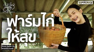 สูตรอาหารไก่ไข่ : สูตรลับฉบับบ้านนา (19 ก.ค. 63)