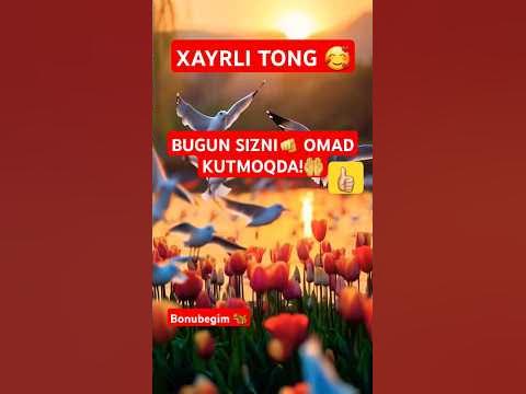 Kasalxonada koreys jinsiy aloqa