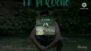 subze - te perdono (𝖘𝖑𝖔𝖜𝖊𝖉 + 𝖗𝖊𝖛𝖊𝖗𝖇)