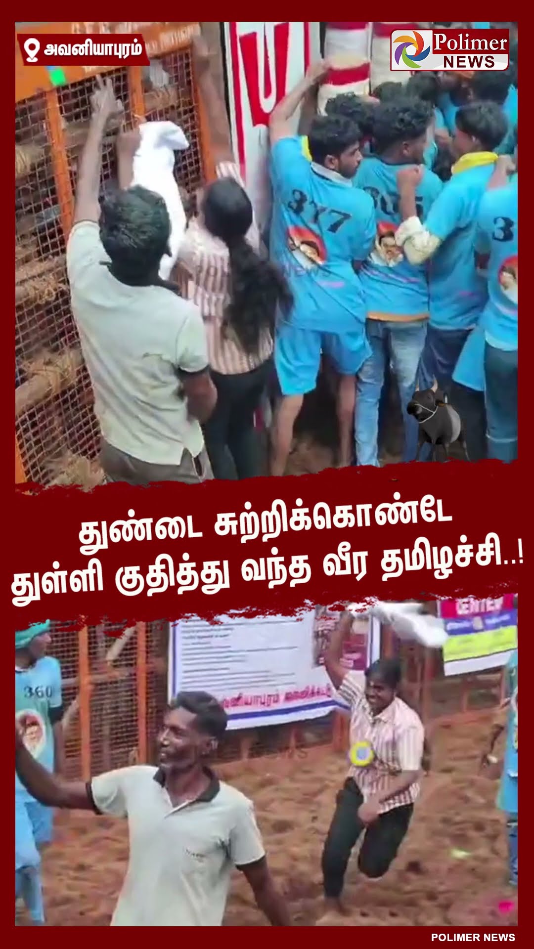 துண்டை சுற்றிக்கொண்டே துள்ளி குதித்து வந்த வீர தமிழச்சி..! #shorts | #avaniyapuramjallikattu