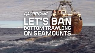 David Parker: End bottom trawling on seamounts