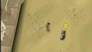 Saradomin Sword and Full Dharok at Duel Arena