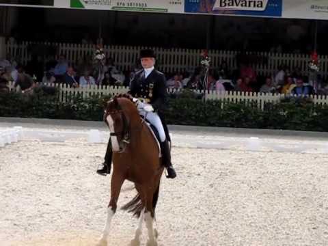 FEI European Championships Juniors & Young Riders ...