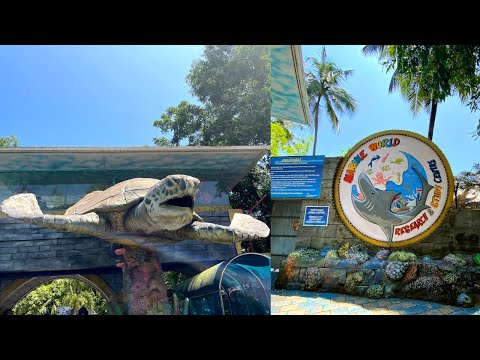 Marine world public Aquarium,chavakkad / India’s largest Public Aquarium in Thrissur