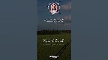 ما تيسر من #سورة_الشعراء القارئ الشيخ #عبدالله_الموسى