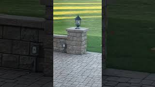 Backyard Birds In Illinois - November 9Th 2023