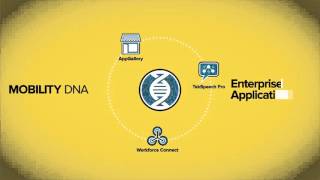 ZEBRA Mobility DNA