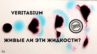 Veritasium: Похожи Ли Эти Жидкости На Живые?