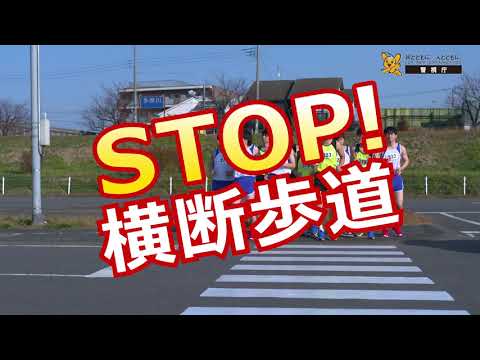 りさ5段60台1段目横断歩道付き道路+駐車場仕様 YouTube