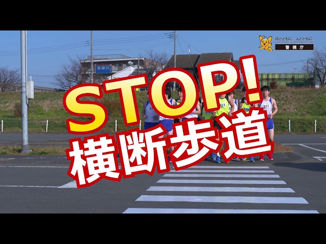 りさ5段60台1段目横断歩道付き道路+駐車場仕様 sddefault.jpg