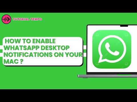 How to enable WhatsApp desktop notifications on your Mac ?