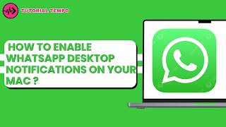 How to enable WhatsApp desktop notifications on your Mac 