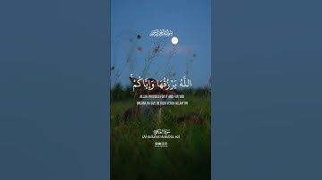 وكأين من دابة لا تحمل رزقها الله يرزقها وإياكم #سورة_العنكبوت #اسلام_صبحي #quran  #kuranıkerim