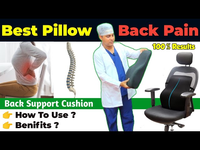 Back Support Pillow by Back Level. Best Lumbar Posture for Back