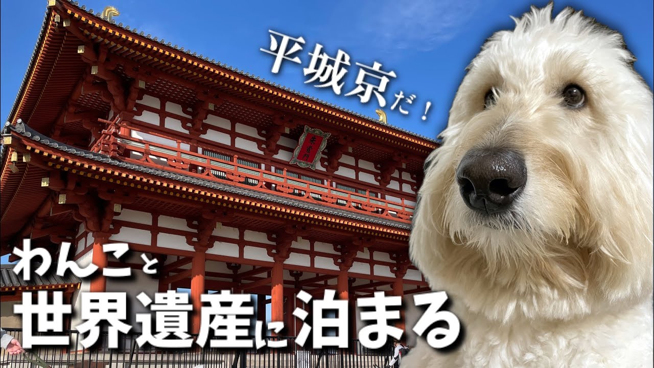 【大型犬暮らし】災害怖いから避難訓練するわ in RVパーク平城京朱雀門